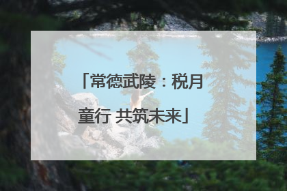 常德武陵：税月童行 共筑未来
