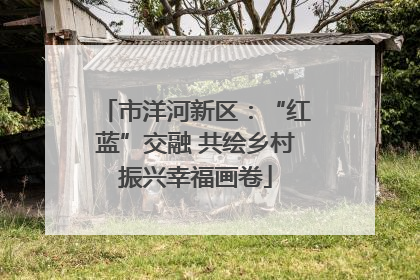 市洋河新区：“红蓝”交融 共绘乡村振兴幸福画卷