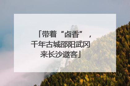 带着“卤香”，千年古城邵阳武冈来长沙邀客