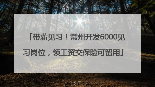 带薪见习！常州开发6000见习岗位，领工资交保险可留用