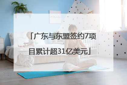 广东与东盟签约7项目累计超31亿美元