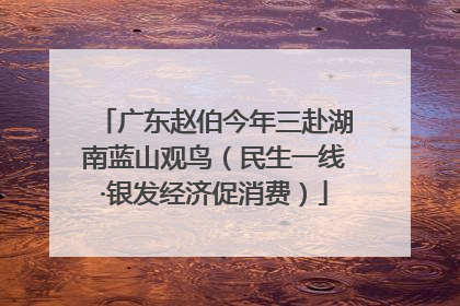 广东赵伯今年三赴湖南蓝山观鸟（民生一线·银发经济促消费）