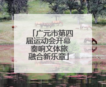 广元市第四届运动会开幕 奏响文体旅融合新乐章