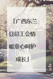 广西东兰县总工会情暖童心呵护成长