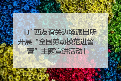 广西友谊关边境派出所开展“全国劳动模范进警营”主题宣讲活动