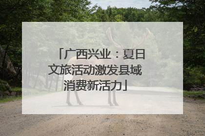 广西兴业：夏日文旅活动激发县域消费新活力