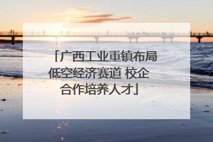 广西工业重镇布局低空经济赛道 校企合作培养人才