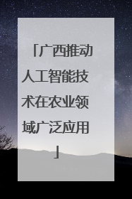 广西推动人工智能技术在农业领域广泛应用