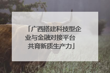 广西搭建科技型企业与金融对接平台 共育新质生产力