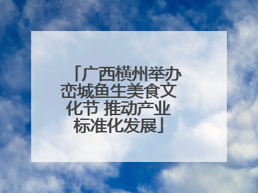 广西横州举办峦城鱼生美食文化节 推动产业标准化发展