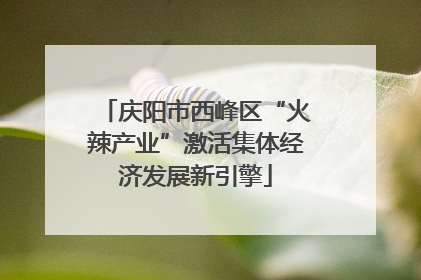 庆阳市西峰区“火辣产业”激活集体经济发展新引擎