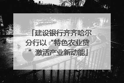 建设银行齐齐哈尔分行以“特色农业贷”激活产业新动能