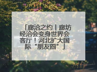 廊洽之约丨廊坊经洽会变身世界会客厅！河北扩大国际“朋友圈”