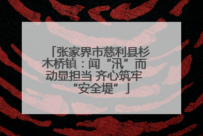 张家界市慈利县杉木桥镇：闻“汛”而动显担当 齐心筑牢“安全堤”