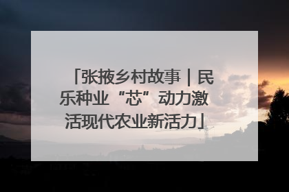 张掖乡村故事｜民乐种业“芯”动力激活现代农业新活力