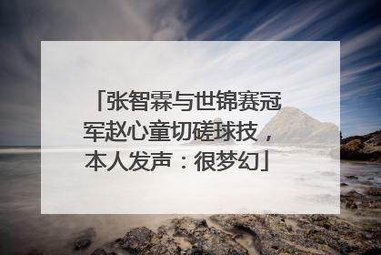 张智霖与世锦赛冠军赵心童切磋球技，本人发声：很梦幻
