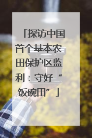 探访中国首个基本农田保护区监利：守好“饭碗田”