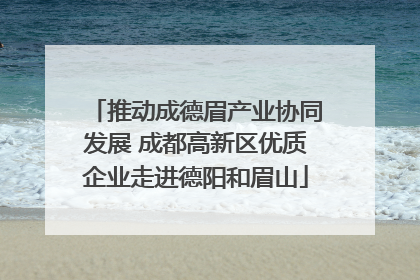 推动成德眉产业协同发展 成都高新区优质企业走进德阳和眉山