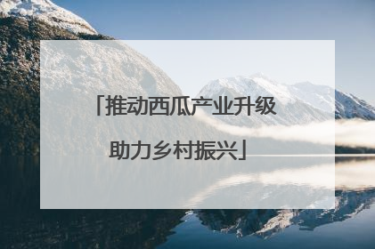 推动西瓜产业升级 助力乡村振兴