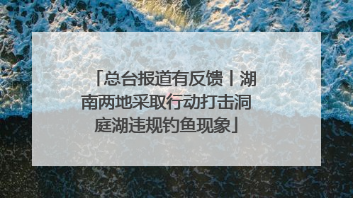总台报道有反馈丨湖南两地采取行动打击洞庭湖违规钓鱼现象