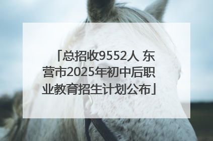 总招收9552人 东营市2025年初中后职业教育招生计划公布