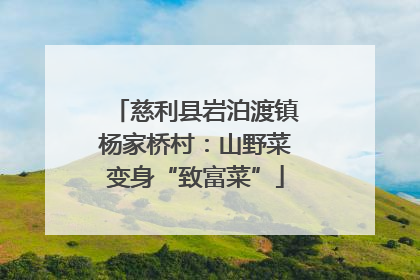 慈利县岩泊渡镇杨家桥村：山野菜变身“致富菜”