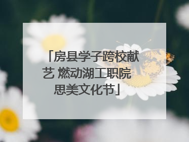 房县学子跨校献艺 燃动湖工职院思美文化节