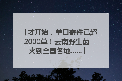 才开始，单日寄件已超2000单！云南野生菌火到全国各地……