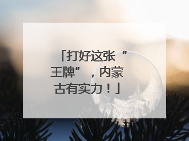 打好这张“王牌”，内蒙古有实力！