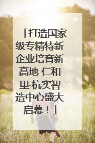 打造国家级专精特新企业培育新高地 仁和里·杭实智造中心盛大启幕！