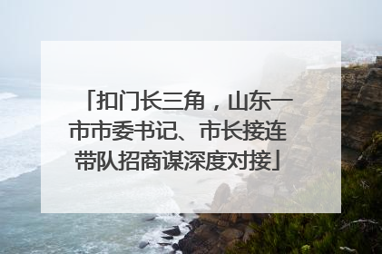 扣门长三角，山东一市市委书记、市长接连带队招商谋深度对接