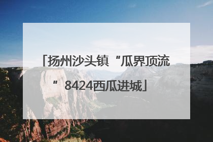 扬州沙头镇“瓜界顶流”8424西瓜进城