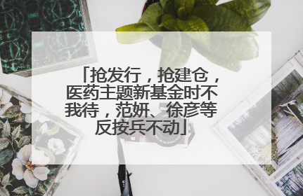 抢发行，抢建仓，医药主题新基金时不我待，范妍、徐彦等反按兵不动