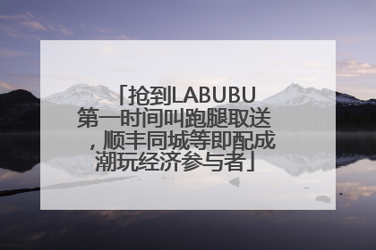 抢到LABUBU第一时间叫跑腿取送，顺丰同城等即配成潮玩经济参与者
