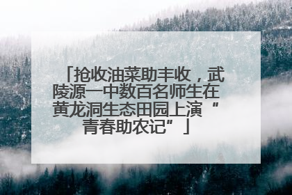 抢收油菜助丰收，武陵源一中数百名师生在黄龙洞生态田园上演“青春助农记”