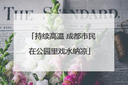 持续高温 成都市民在公园里戏水纳凉