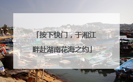 按下快门，于湘江畔赴湖南花海之约