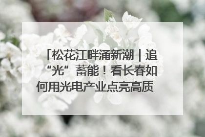 松花江畔涌新潮｜追“光”蓄能！看长春如何用光电产业点亮高质量发展新赛道