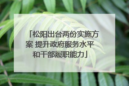 松阳出台两份实施方案 提升政府服务水平和干部履职能力