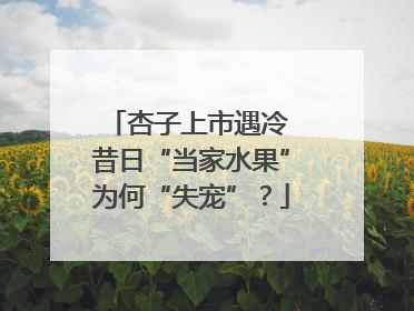 杏子上市遇冷 昔日“当家水果”为何“失宠”？