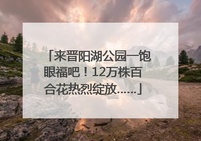 来晋阳湖公园一饱眼福吧！12万株百合花热烈绽放……