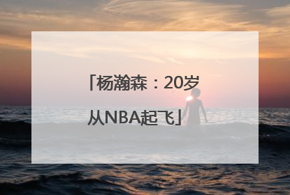 杨瀚森：20岁从NBA起飞