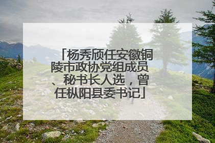 杨秀颀任安徽铜陵市政协党组成员、秘书长人选，曾任枞阳县委书记