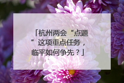 杭州两会“点题”这项重点任务，临平如何争先？