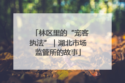 林区里的“宠客执法”｜湖北市场监管所的故事