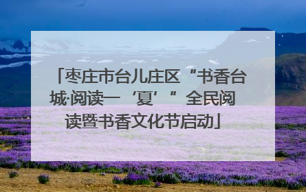 枣庄市台儿庄区“书香台城·阅读一‘夏’”全民阅读暨书香文化节启动