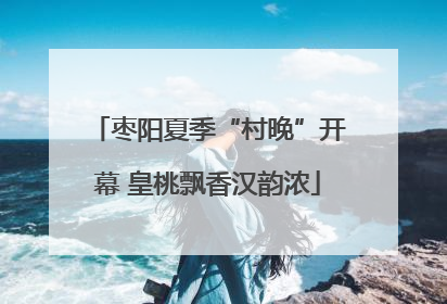 枣阳夏季“村晚”开幕 皇桃飘香汉韵浓