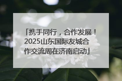 携手同行，合作发展！2025山东国际友城合作交流周在济南启动