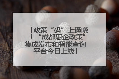 政策“码”上通晓！“成都惠企政策”集成发布和智能查询平台今日上线