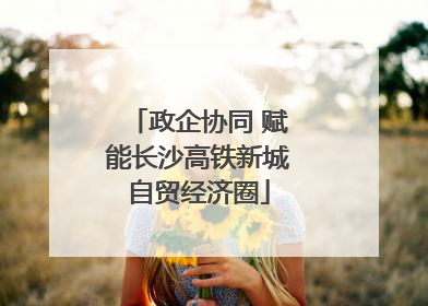 政企协同 赋能长沙高铁新城自贸经济圈